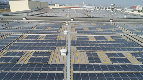 綠色創新，陽光動力 維他檸檬茶積極布局新能源，以太陽能發電助力碳達峰、碳中和